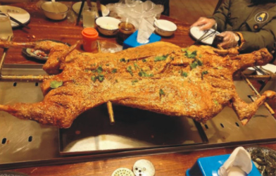 晚会3.png